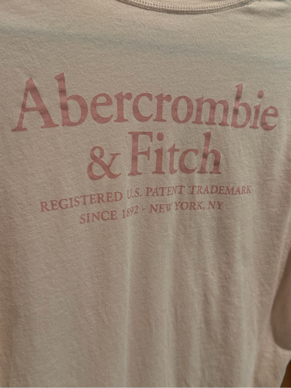 Abercrombie & Fitch Long-Sleeve Logo Tee - Pale Pink - Picture 5 of 6
